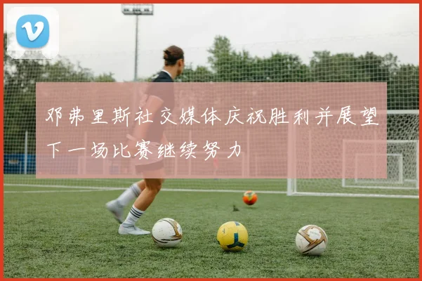 邓弗里斯社交媒体庆祝胜利并展望下一场比赛继续努力