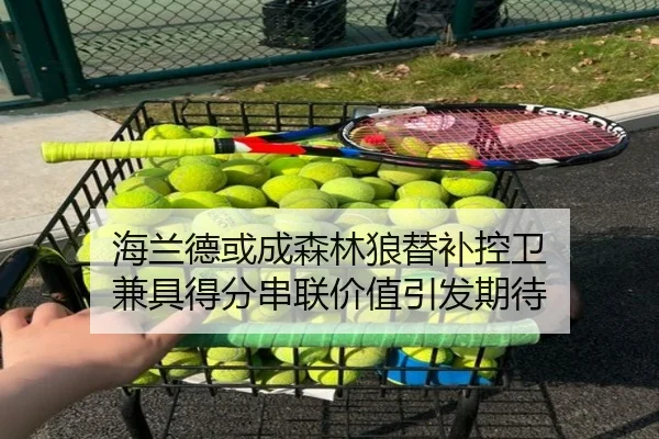 海兰德或成森林狼替补控卫 兼具得分串联价值引发期待
